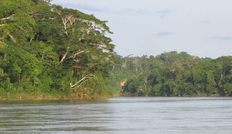 Manu National Park, Cusco/Madre de Dios Region, Peru
